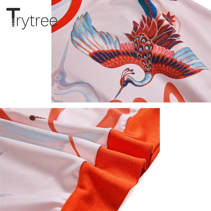 Trytree 2019 осенние женские модные толстовки с принтом Феникс пуловеры круглым