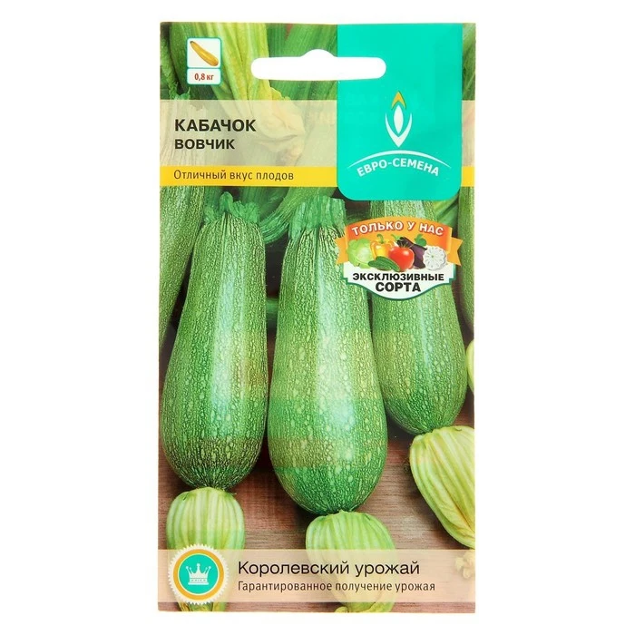 Seeds Zucchini Vovchik . early maturing. white-fruited. universal. 1 g 1768409 Garden Sowing Supplies vegetables Botany Flowers Home | Дом и