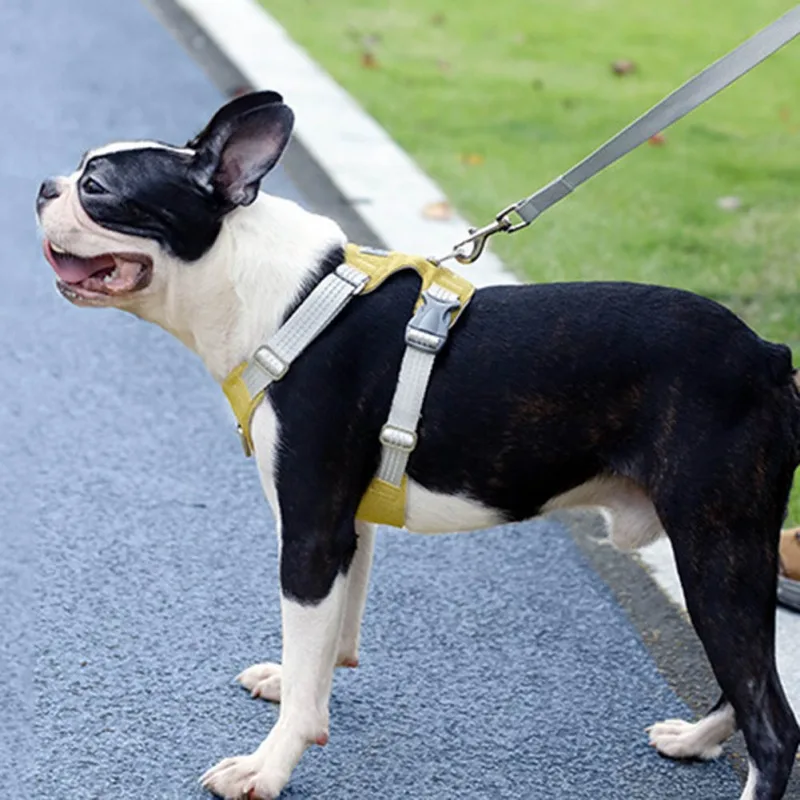 

Breathable And Reflective Chest Harness, Suitable For Medium And Large Dogs, And Can Be Used For Daily Training Vest Harnesse -s