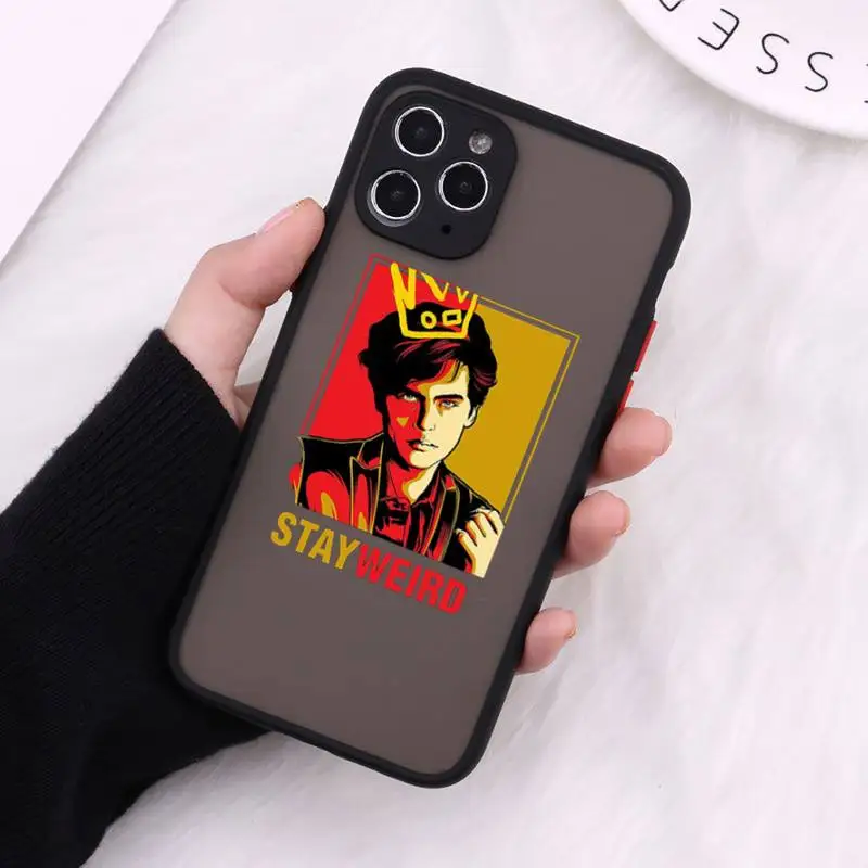 

TV Riverdale South Snake Phone Cases Matte Transparent For iPhone 12 Mini 11 Pro XR XS Max 7 8 Plus