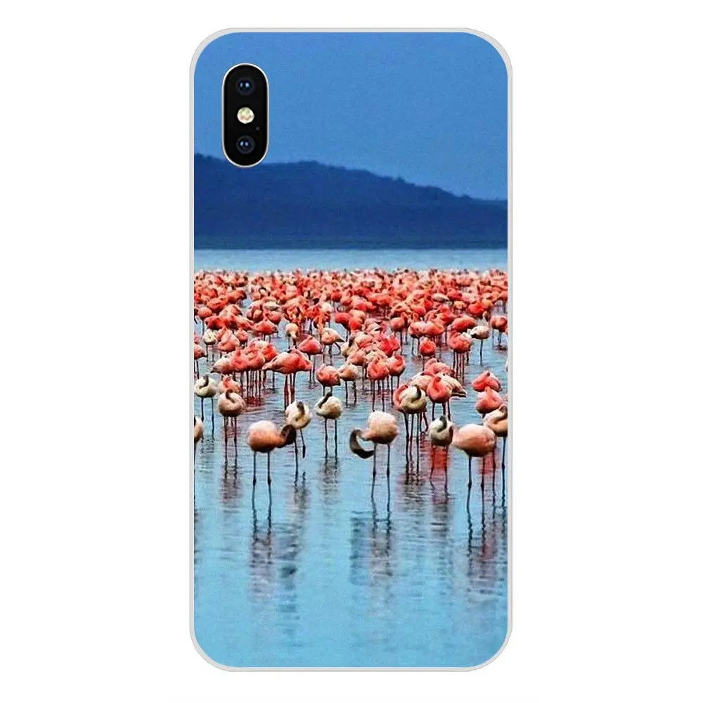 Защитный чехол для Huawei Nova 2 V20 Y3II Y5 Y5II Y6 Y6II Y7 Y9 G8 G9 GR3 GR5 GX8 Prime 2018 2019 Розовый фламинго |