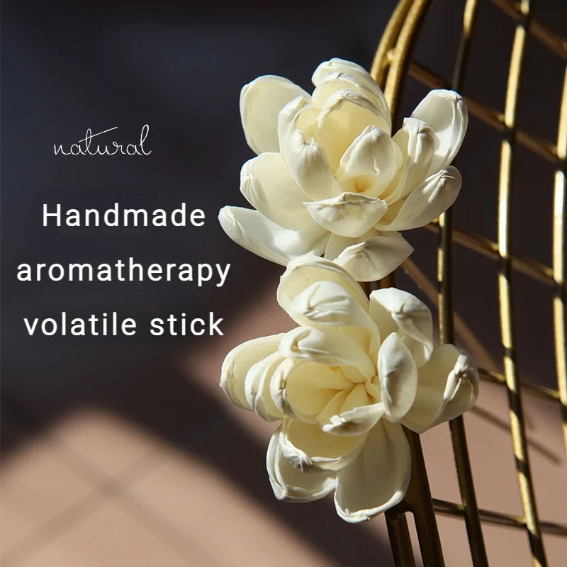 

Reed Diffuser Sticks Indonesia Rattan Grass Sticks Dried Flowers Aromatherapy Diffuser Sticks Home Fragrance Volatile Stick