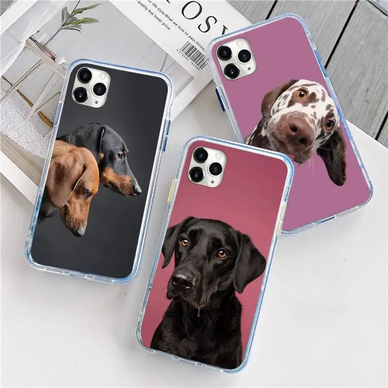 

Cute Dachshund dog Phone Case For iphone 12 5 5s 5c se 6 6s 7 8 plus x xs xr 11 pro max mini