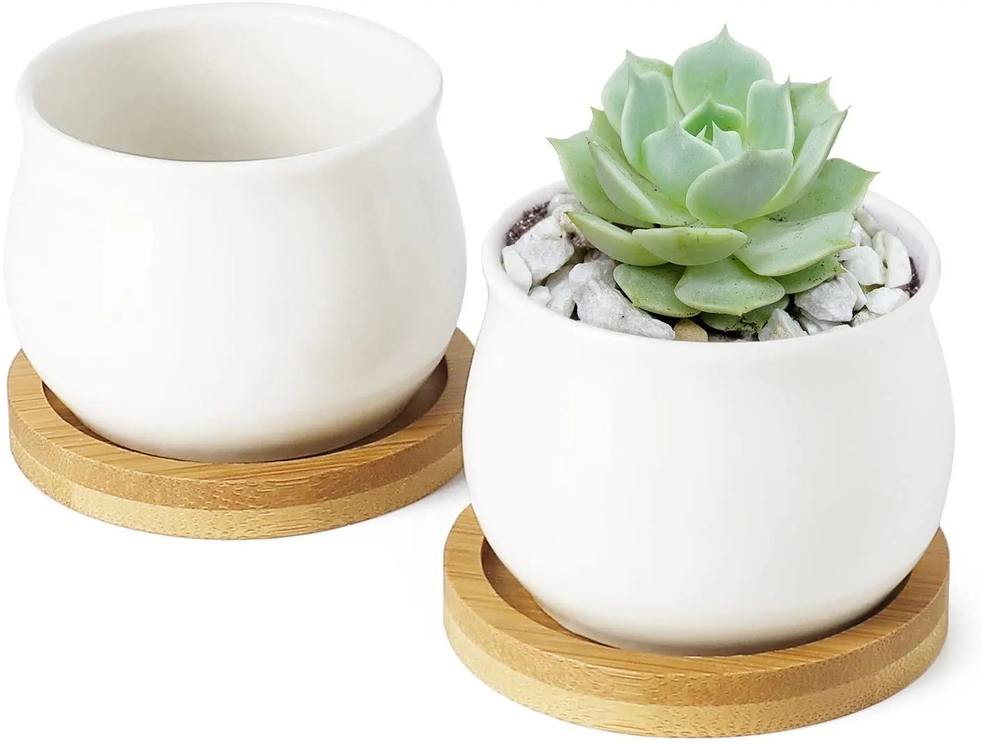 4 шт бамбуковые прослойки в круглый поднос цветочного горшка семена бонсай