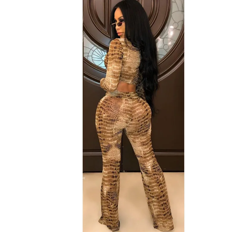 Повседневный леопардовый комплект из 2 предметов Женский костюм с длинным