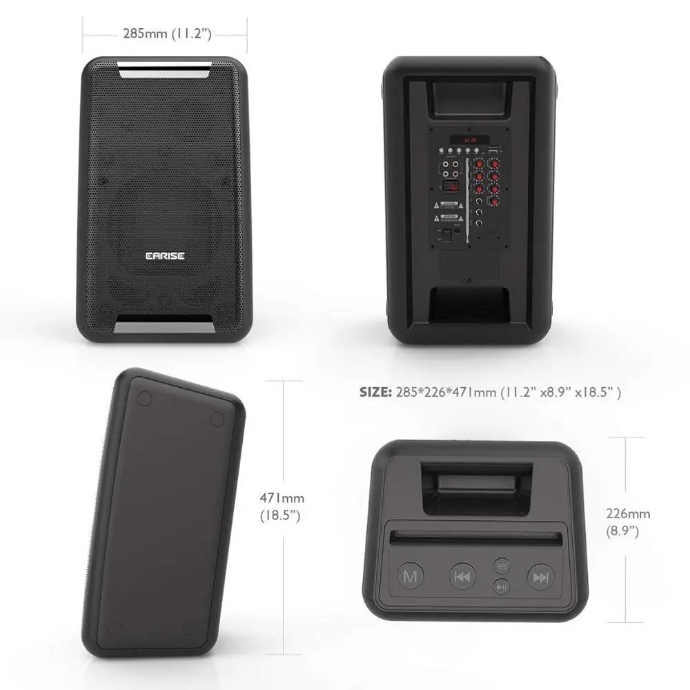 Портативная Bluetooth Колонка EARISE DT21 беспроводной микрофон перезаряжаемая