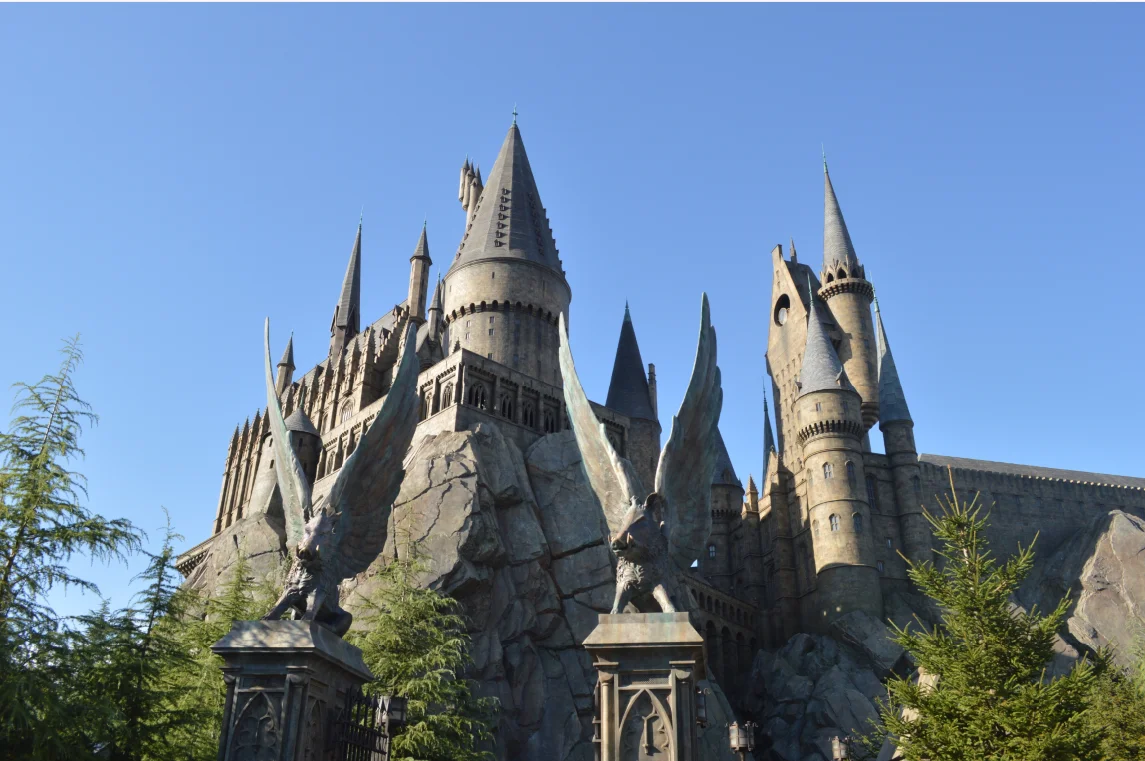 Виниловый фон для студийной фотосъемки с изображением волшебного заката ведра