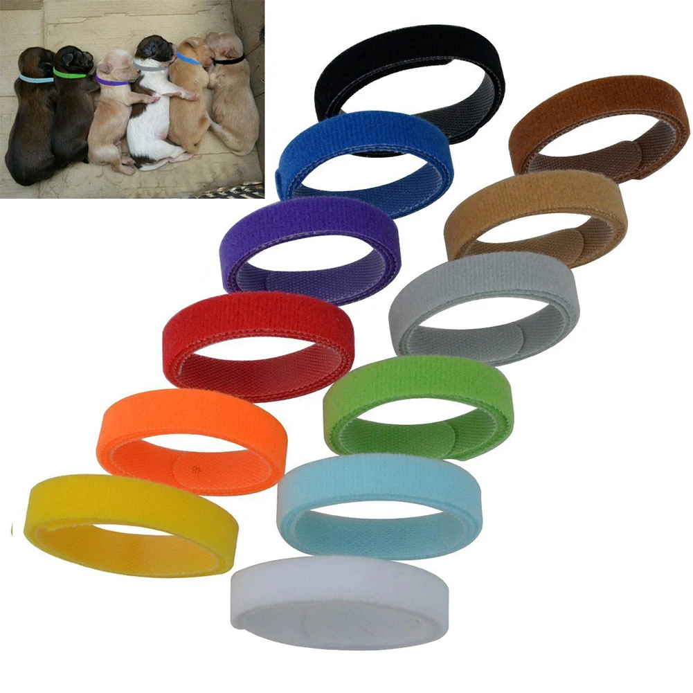 Регулируемый ошейник для маленьких средних собак Классический нейлоновый