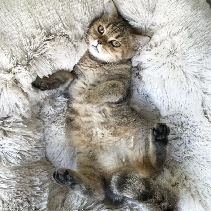 

PlushRound Cat bed Long Soft Pet Bed House Cat Kennel Dog Cat Winter Warm Sleeping Bag Puppy Cushion Cat Supplies Washable