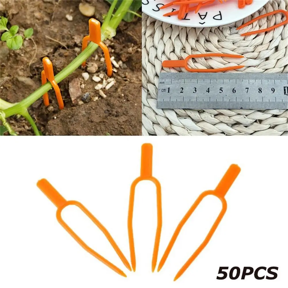 50 шт.! Пластиковые зажимы для подъема растений держатель винограда саженца