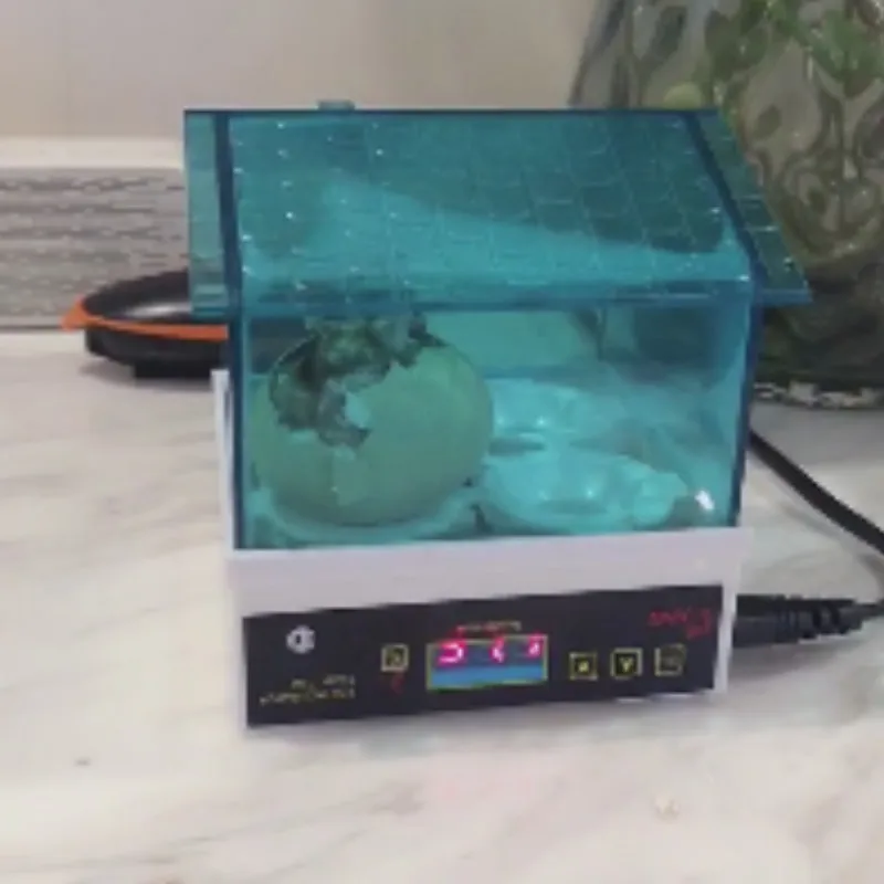 HHD Newest 4 Eggs Incubator Mini Hatchery Machine Automatic Digital Poultry Brooder Hatch For Chicken Duck Bird Pigeon Quail Egg