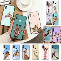 toplbpcs giraffes cute animal phone case for redmi note 7 5 8a note8pro 9pro 8t coque for note6pro capa