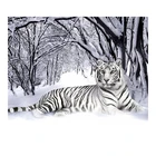5D Diy Алмазная вышивка крестиком белый тигр круглая Алмазная мозаика Алмазная вышивка животные Домашние картины хобби ремесла