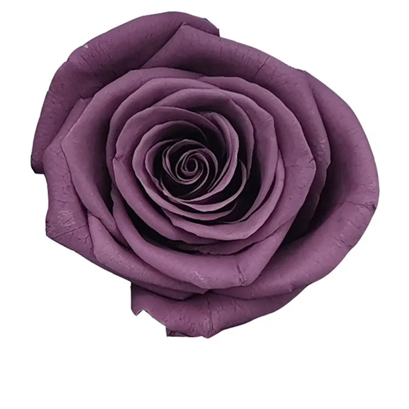 

6Pcs/Box Preserved Immortal Rose DIY Material Wholesale Valentine's Day Christmas Wedding Decor Eternal Flower 4-5CM Class A