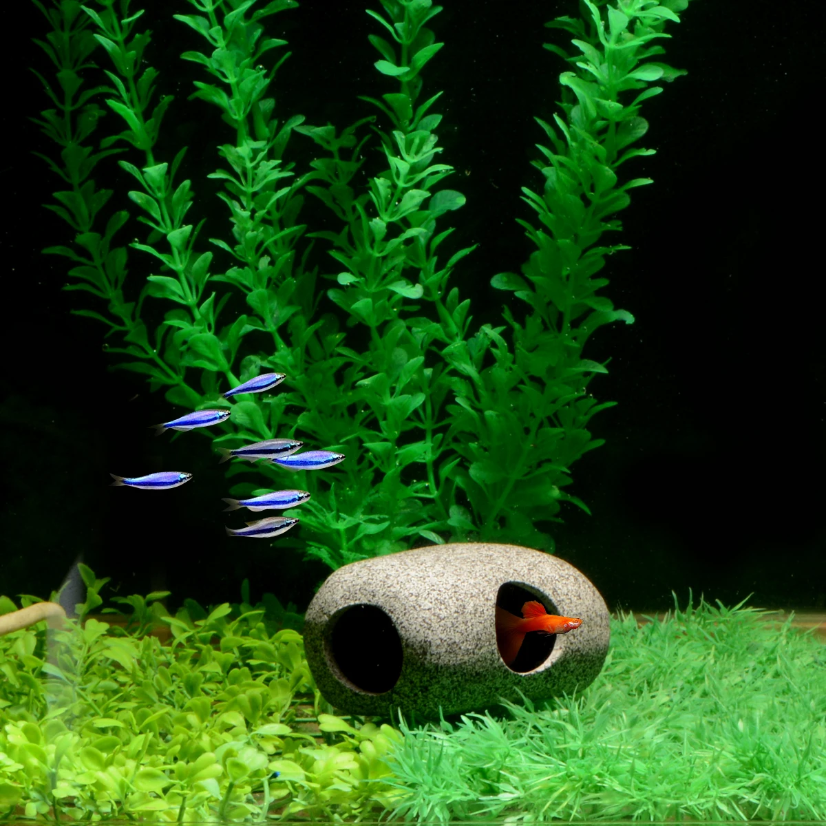 Аксессуары для аквариума Saim серый искусственный камень искусственная и креветка