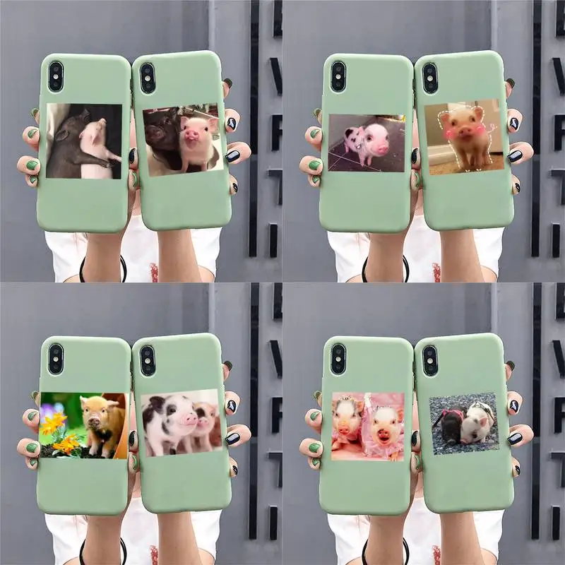 

Funny Pig Phone Case for iphone 13 12 mini 11 Pro Max X XS XR Solid Color For 7 8 6 6S Plus Capa