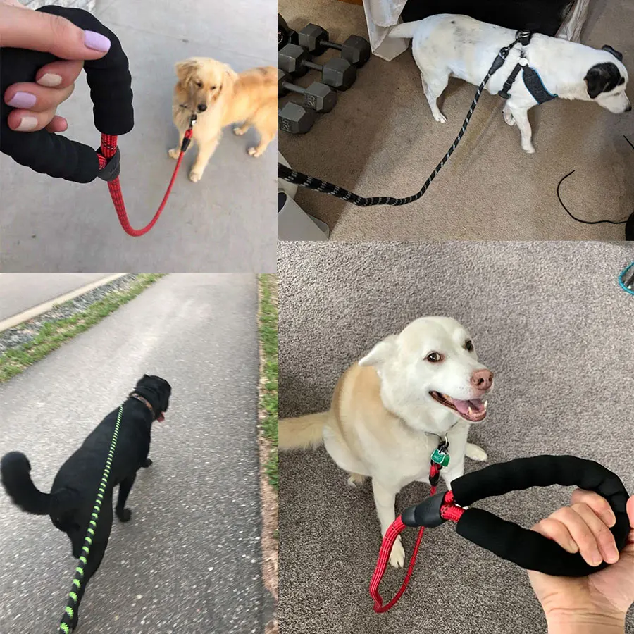 

Pet Leash Reflective Strong Dog Leash 1.5M Long with Comfortable Padded Handle Heavy Duty Training Durable Nylon Rope Leashes
