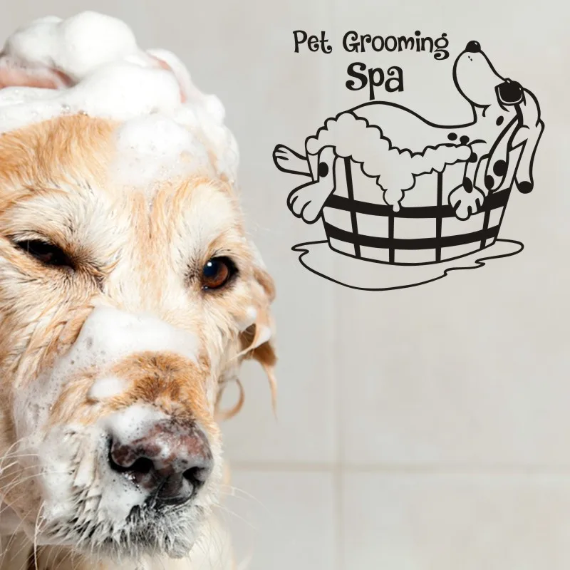 Переводная картинка для салона ухода за домашними животными стикеры плакаты