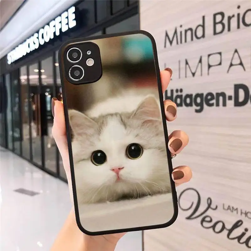 

Cat cute animal lovely pet luxury shell Phone Case cover matte transparent For iphone 7 8 11 12 plus mini x xs xr pro max cover