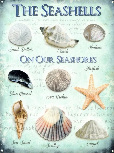 

Tin Sign Seashells On Our Seashores Coffee Bar Decoration Home Decor