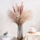 Венчик хвостик лагурус оватус пампасный, сухие цветы, натуральное украшение, тростник, нефрагмит, связка, Пампа, украшение, 10 шт.