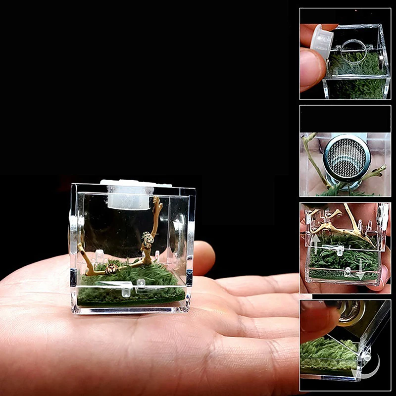 1set Ants Small Spider Ant Farm Insect Breathable Terrarium Transparent Reptile Breeding Box Acrylic  Assembled Eco Box