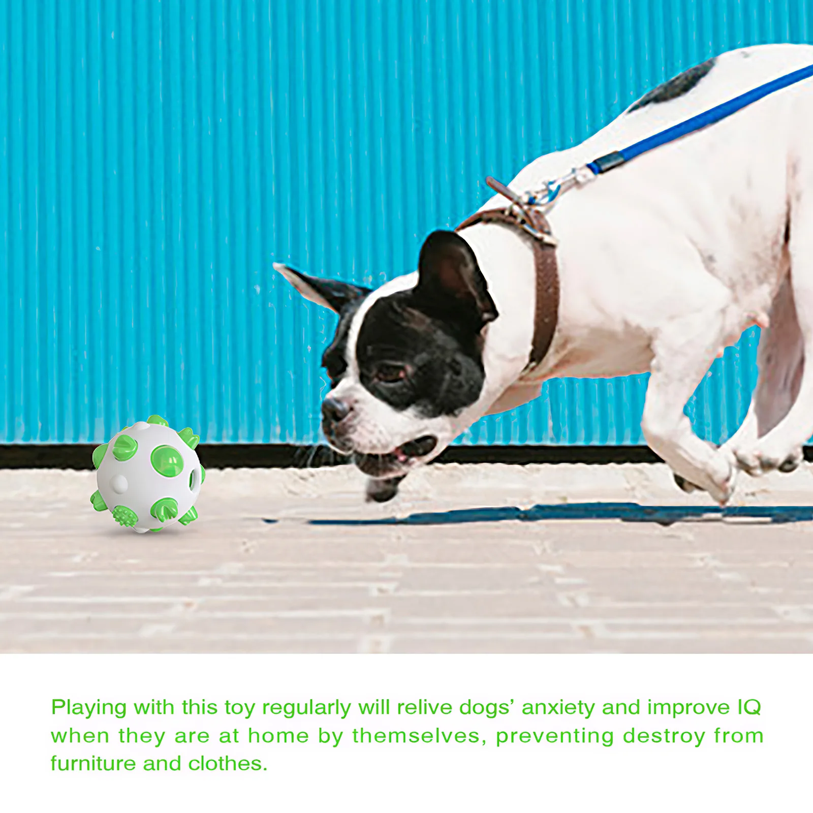 

Переносные шары для домашних животных, молярная собака, Интерактивная игрушка, мяч для собак, моляры, зубы для собак, мягкие износостойкие и...