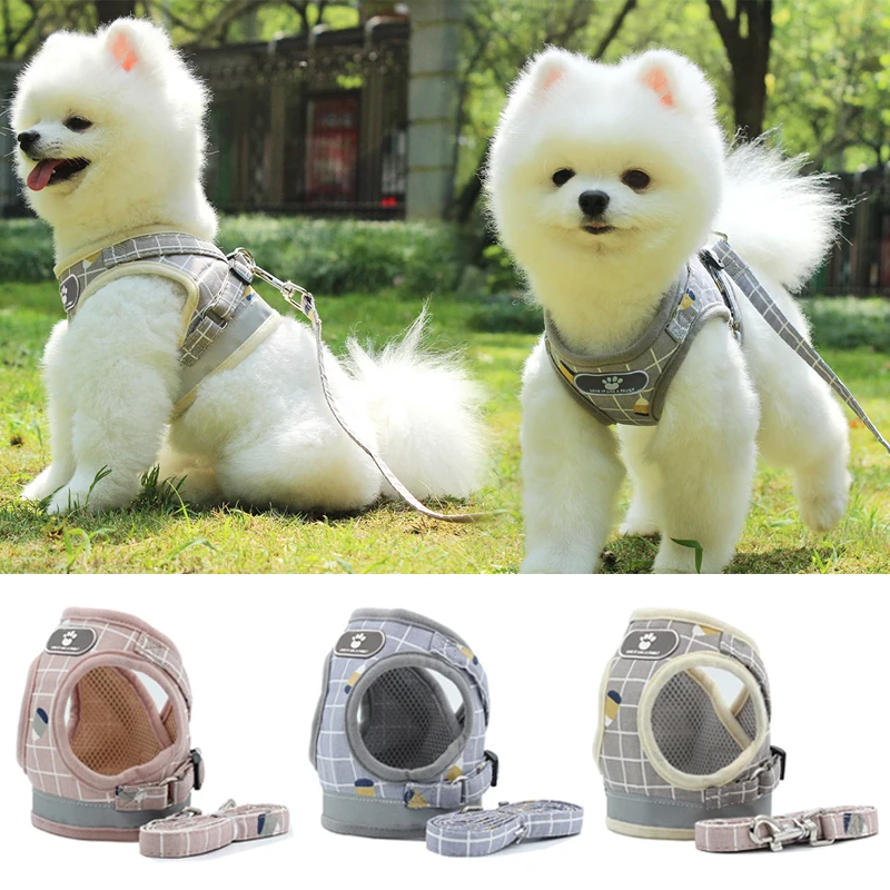 

Модные клетчатые шлейки для кошек, летние сетчатые шлейки и поводок для домашних животных, Набор принадлежностей для кошек, Аксессуары для ...