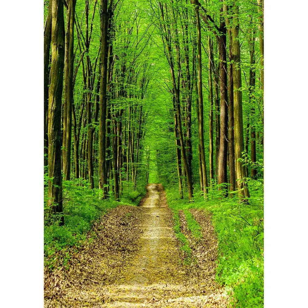 

Grove Pathway Scenic Photo Backdrop Computer Printed Fond Photography Background for Baby Children Portrait Photobooth Props