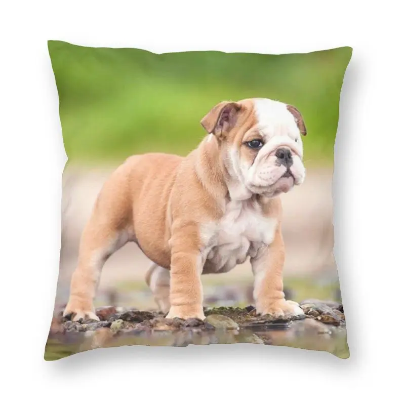 

French Bulldog Pillow Cover Home Decor Frenchie Dog Cushions Throw Pillow for Sofa Double-sided Printing
