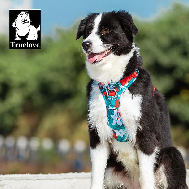 

Truelove Pet No Pull Camouflage Harness Fashion Nylon Reflective with Led Position for Small Big Dogs Quick Release All Seanson