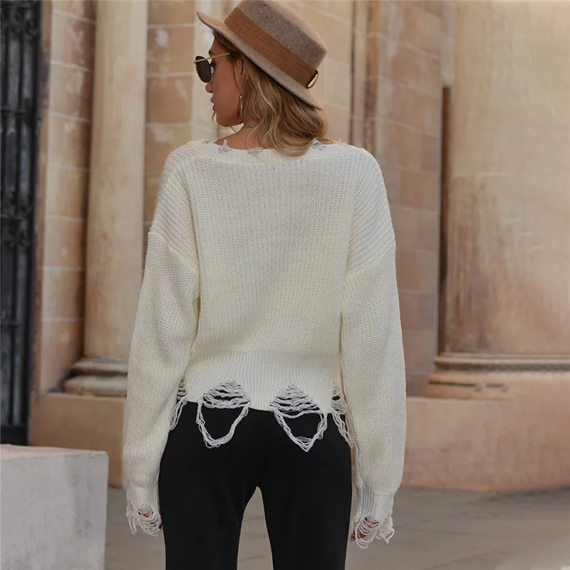 

Casual Fashion Tassel Women Sweater 2020 Winter V-neck Batwing Sleeves Loose Sweaters Ladies