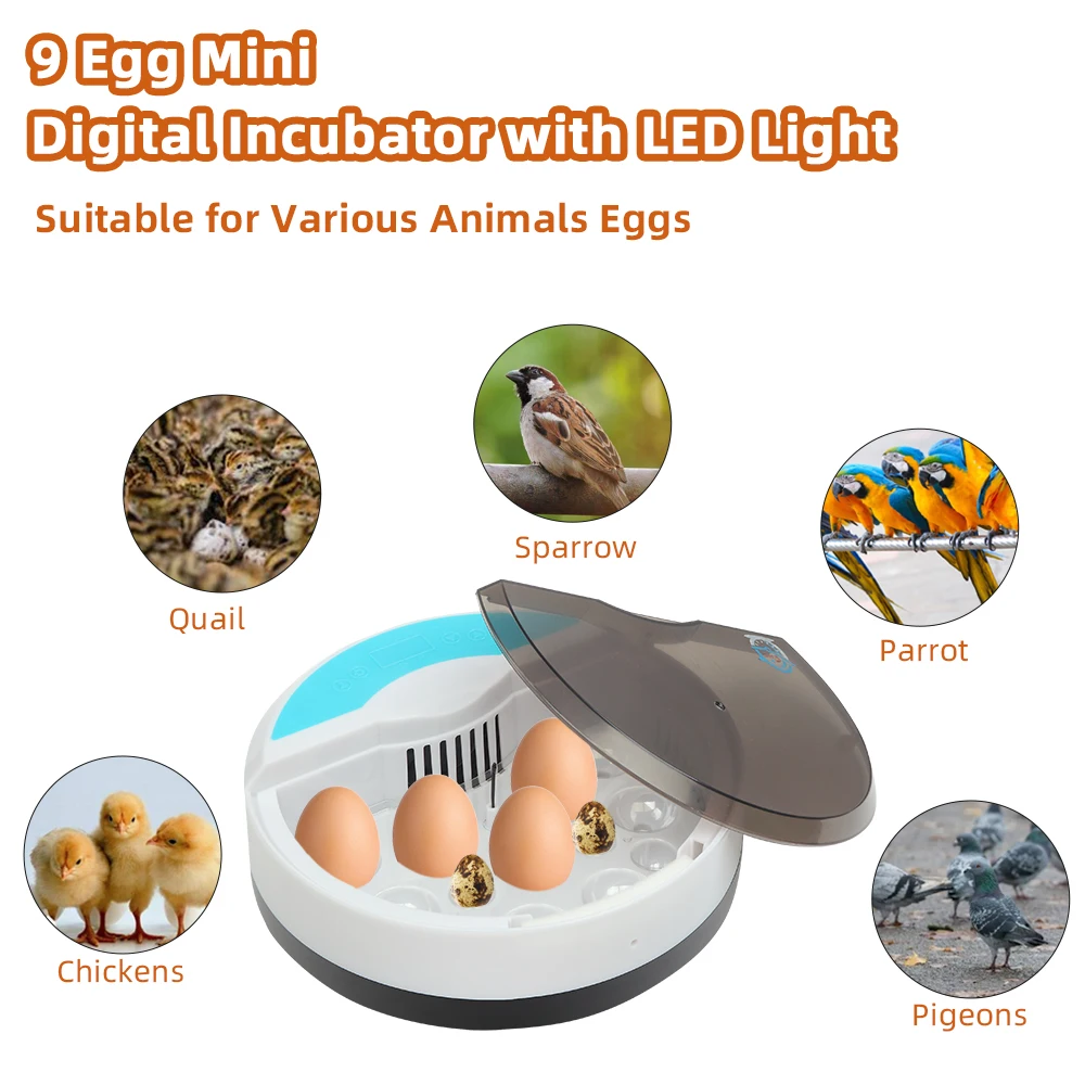 

9 Egg Automatic Poultry Incubator with LED Lights 110V Eggs Incubator Brooder Bird Quail Chick Hatchery Temperature Machine