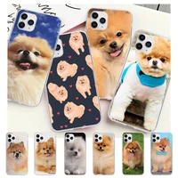 pomeranian dogs dog colorful cute clear phone case for redmi k30s ultra 9a k20 note 8 9 pro max 10 9s 8t 7 5 transparent coque