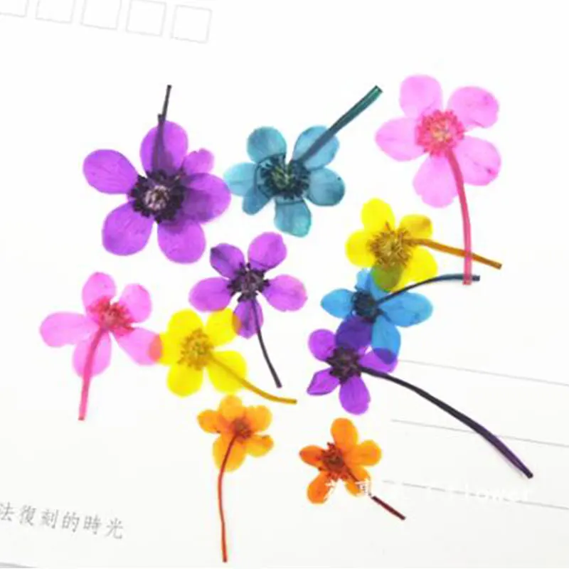 

12pcs Dried Flowers 3D Nail Art Decorations Natural Floral Sticker Charms Nail Designs Making Accessories High Quality