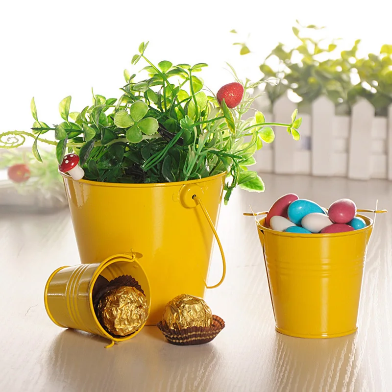

Round Iron Flowerpot Desktop Flowerpot Hanging Vase Also Can be Used Desktop Storage Barrels Planting Rack for Home Decoration
