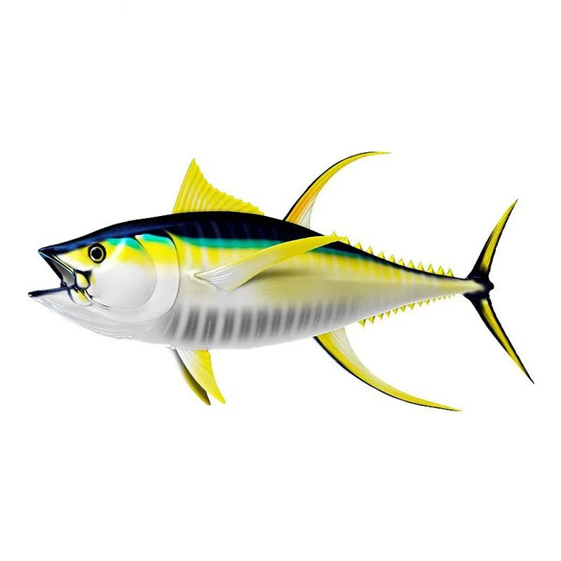 

Tunas Decal 3D Car Styling Car Stickers Vinyl Graphic Decor Window Bumper DIY Waterproof Car Body Decal KK15*8cm
