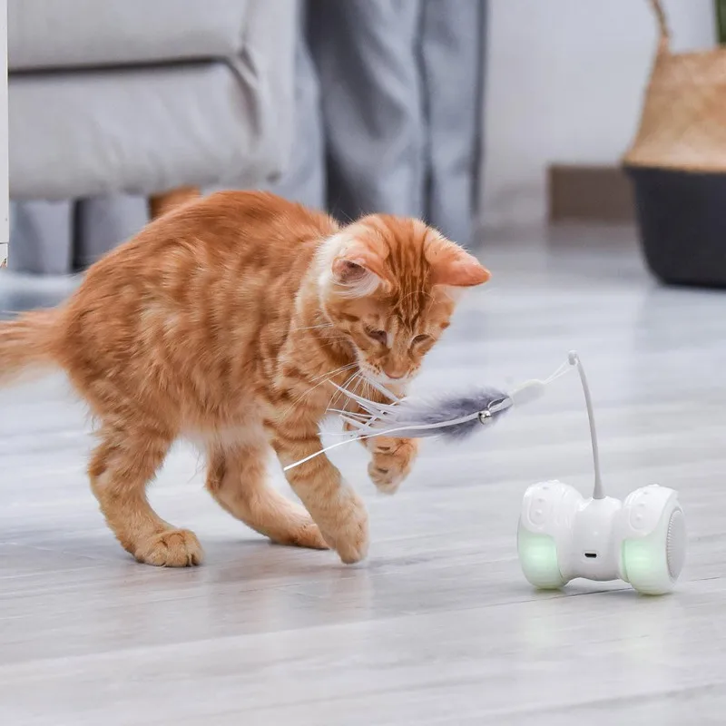 

Cute Pet Electric Smart Balance Led Luminous Remote Control Car Funny Cat Toy Gray Feather (lithium Battery, Capacity 300ma)