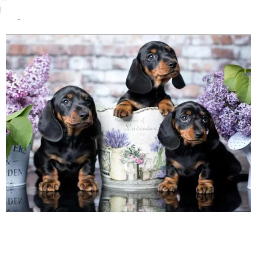 

Dachshund Dog Full Square Diy 5d Diamond Painting Animal Pet Diamond Mosaic Cross Stitch Diamond Embroidery Animal 3d Art Decor