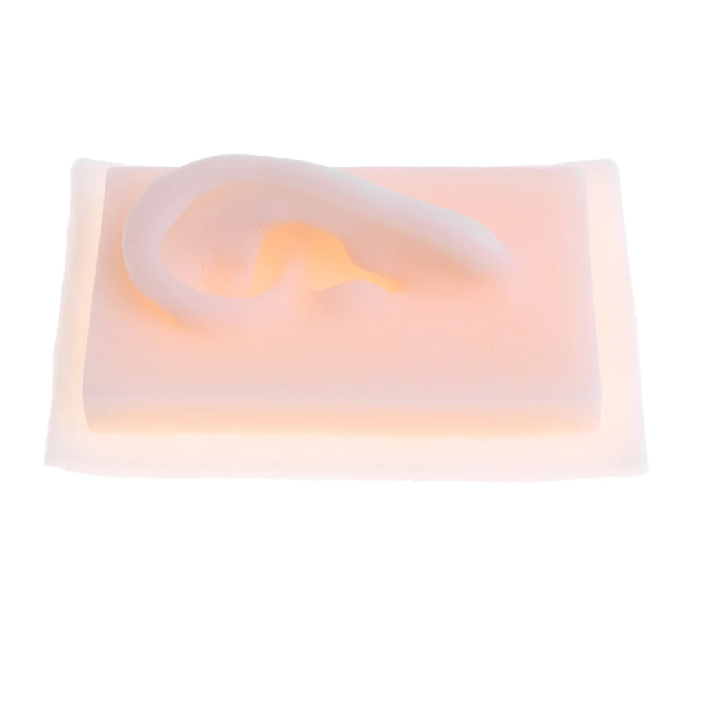 

1: 1 Lifesize Silicone Human Acupuncture Ear Ear Model Study Kit
