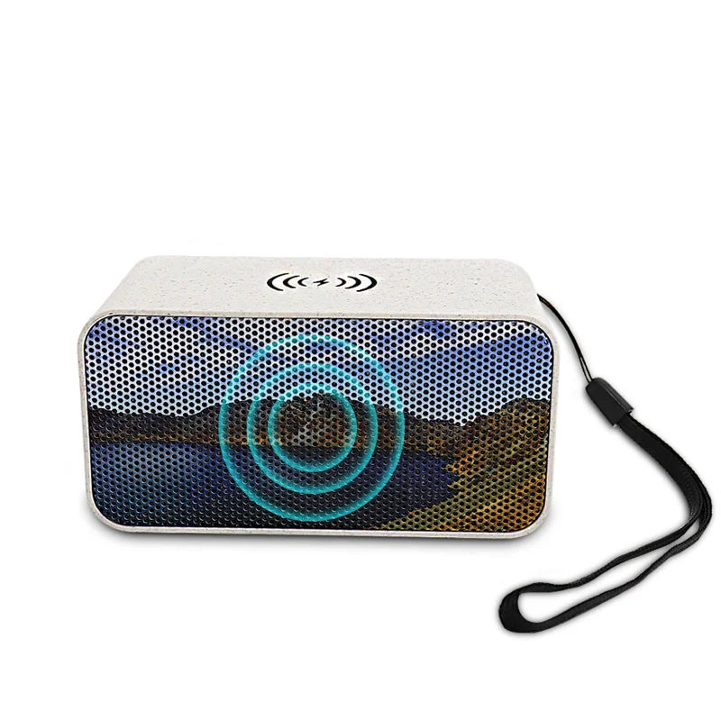 Высокое качество низкая цена Портативный беспроводной Bluetooth-динамик с