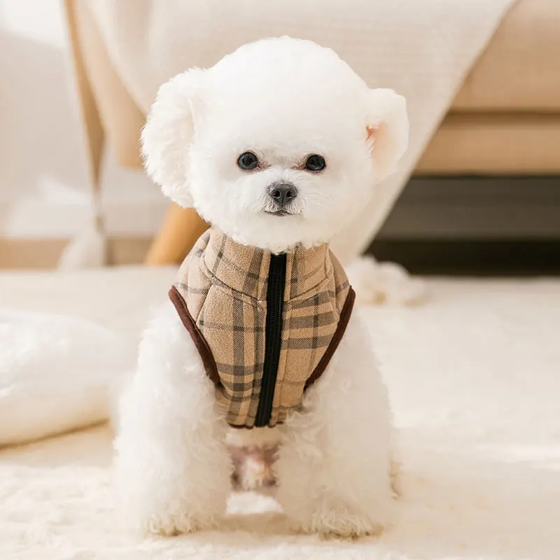 

Жилет с надписью «Bear check tide cool wind», новинка на осень и зиму, хлопковое пальто, утепленная теплая одежда для маленьких и средних собак и кошек