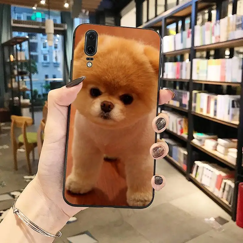 

Pomeranian cute dog animal Phone Case For Huawei honor Mate P 10 20 30 40 Pro 10i 9 10 20 8 x Lite