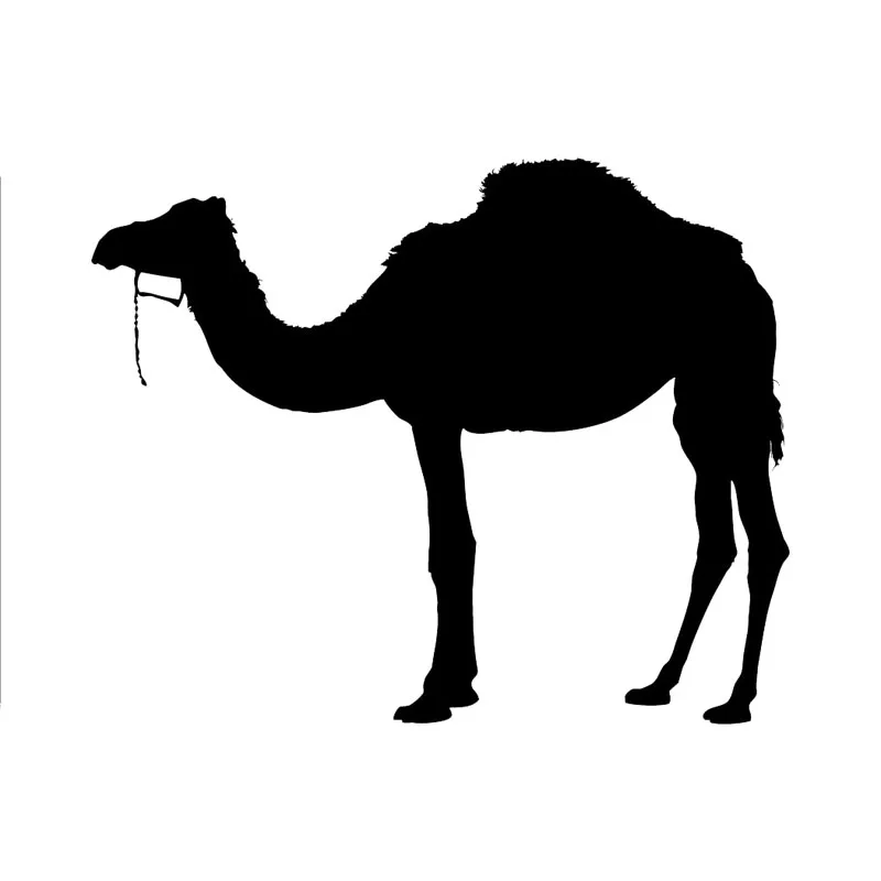 

Hot Cartoon Camel Pattern Car Sticker Windshield Bumper Motorcycle Decal High Quality KK Vinyl Cover Scratches Waterproof PVC