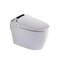 full automatic singapore toilet bowl sink toilet siphonic one piece chineses girl wc toilet