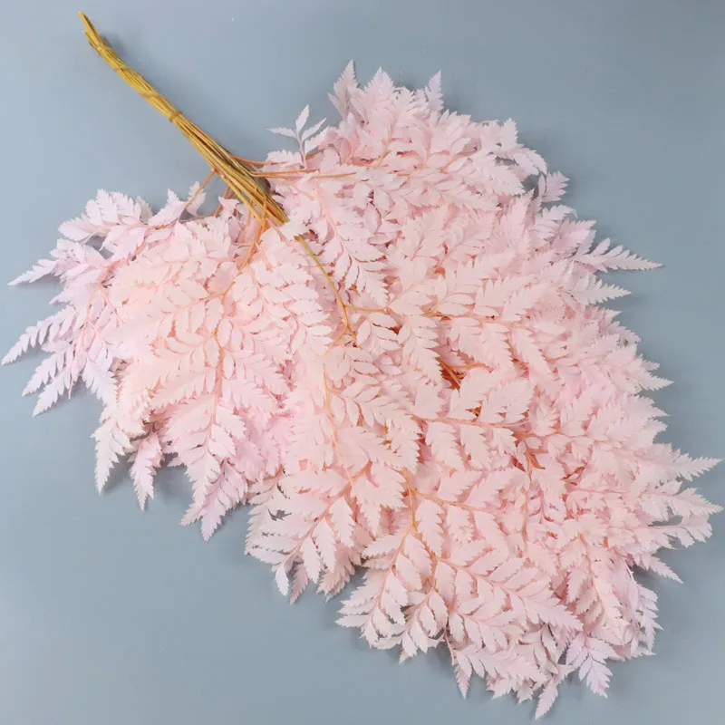 10 шт. папоротники сухие натуральные свежие консервированные растения Вечные