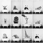 Набор для алмазной вышивки сделай сам, картина с животными, мозаика из черно-белых страз в ванну, жираф, льв, украшение для ванной комнаты
