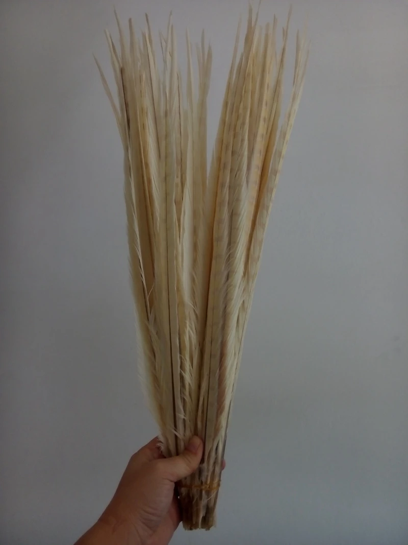 

100pcs/lot bleached white ringneck pheasant tails Feather size 25-70cm long 10-30inch lady amherst pheasant feathers for crafts