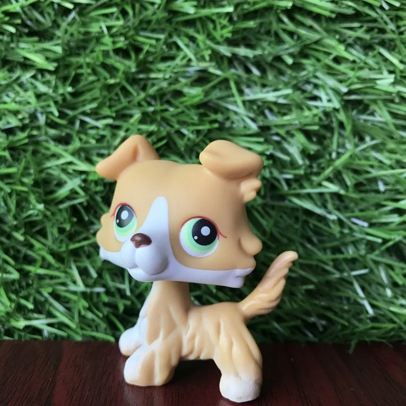 Pet shop игрушки много коротких волос кошка колли большой Дэн кокер спаниель пубби
