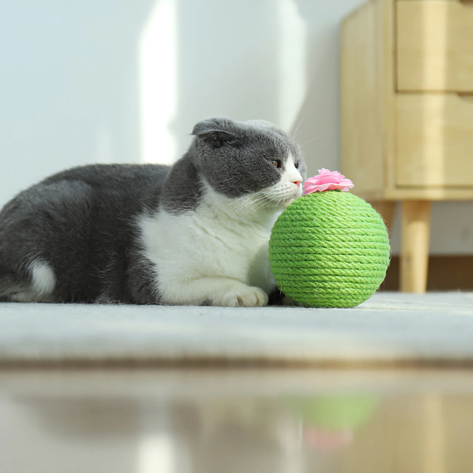 

Protable Kitty Grinding Claw Scratching Ball Soft Cute Sisal Ball Kitty Biting Toy Pet Furniture Kitten Ball Toys